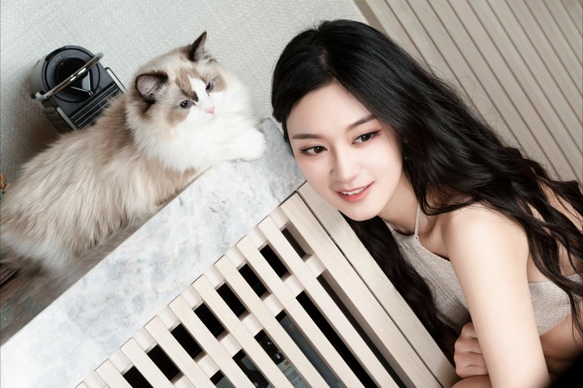 检察机关依法分别对秦立军、陈华、张纪元决定逮捕